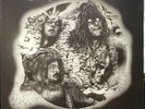 Riff Raff Vinyl 12 Inch Record 1973 Progressive/Jazz Rock RCA Victor SF8351