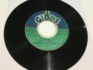Dennis Brown & Dhaima A True/Nu True 1978 Joe Gibbs Roots Reggae ex con