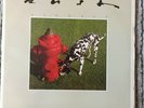 Rush ?– Signals SRM-1-4063 US EX LP Tested Masterdisk