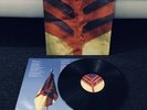Yeah Yeah Yeahs - Show Your Bones - Dress Up Polydor - LP Vinyl Record