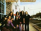 LYNYRD SKYNYRD PRONOUNCED 'LEH-'NERD 'SK 180g (MFSL 1-400)
