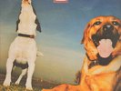 MOLOKO - the Flipside Mixes 1 (Herbert, All Seeing I Rmxs) - Echo