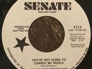 Savage Generation - You're Not Going To Change My World 45 - psych on Senate