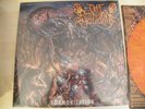 AHTME (FORMERLY. THE ROMAN HOLIDAY) THE DEMONIZATION NEW VINYL LTD ORANGE