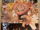 Heart-Shaped Box [Single] by Nirvana 7