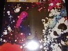 Pink Floyd The Piper at the Gates Of Dawn mono lp Rsd Poster Mint nuevo