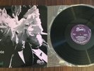 AMANDA AMBROSE ‘Swings At The Black Orchid’  Vinyl LP  Starlite Records Jazz