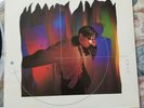 ??? ???? vinyl  Christopher Wong