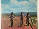 THE PIONEERS - LONG SHOT - 1969 Original Press LP - UK Trojan TBL103 - NM Vinyl