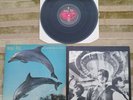 Orange Juice, You Can't Hide Your Love Forever vinyl LP 1st Press 1982 EX/G-