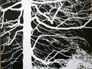 MIRKWOOD - Mirkwood - LP 1973 Amber Soundroom