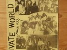 PRIVATE WORLD #4 1978 IRISH PUNK FANZINE NEW YORK DOLLS RUDI EATER PATTI SMITH