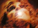 DOPPIO VINILE LP RENATO ZERO - ICARO 33 GIRI ANNO 1981 ZEROLANDIA PL 31580
