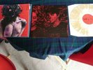 Pig Destroyer Terrifyer Beer Coloured Vinyl Record
