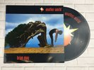 Brian May (Queen) Another World 12” Vinyl Picture Disc - (United Kingdom) 1998