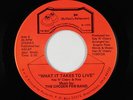 Modern Soul 45 - Chosen Few Band - What It Takes To Live - BR - VG++ mp3