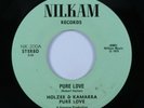 Funk 45 HOLZER & KAMARRA Pure Love NILKAM HEAR