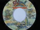 Funk Boogie Disco 45 INNER LIFE I Like It Like That SALSOUL VG++ promo HEAR