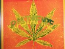 Raro  Peter Tosh - Rastafire  Bologna 1979 Paladozza Bootleg lp reggae rasta