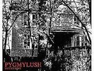 New Music Pygmy Lush 