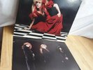 Stevie Nicks The Other Side of the Mirror 12 Inch Vinyl Record Album