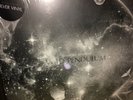 Trashcan Sinatras - Wild Pendulum RARE Limited Edit. SILVER Vinyl LP- 2016