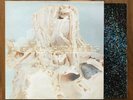 IN RIBBONS LP by PALE SAINTS — ORIG PRESSING 4AD THROWING BACK THE APPLE VG+/VG+