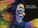 Organisation - Tone Float - LP Vinyl - New