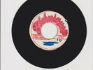 TECHNIQUES/ SHE'S GONNA MARRY ME(I KNOW A GIRL) - SHADES (75 REGGAE ROCKERS 7