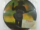 Stevie Ray Vaughan Original 1984 Picture Disc Couldn't Stand the Weather LP 12
