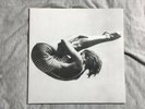 Andy Stott ?– Luxury Problems - (Vinyl, LP) Rare - Modern Love, Techno / Dance