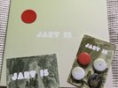 JARV  IS Jarvis Cocker Beyond the Pale Sold Out Glow In the Dark Vinyl RT0129LPE