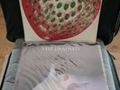 Rare THE DAMNED Strawberriesl LP original pressing Bronze + Ltd Ed insert