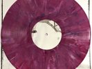 CHUCK RAGAN Feast RASPBERRY Vinyl LP No Idea Samiam Hot Water Music Gaslight Emo