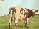 PINK FLOYD-LP- ATOM HEART MOTHER-HARVEST 3C064...FOC-1970- ITALY