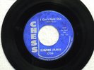ELMORE JAMES I Can t Hold Out/The Sun is Shining CHESS 1756