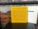 SECTION 25 ALWAYS NOW/FROM THE HIP/BAD NEWS WEEK ORIGINAL FACTORY EXCELLENT COND