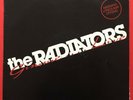 The Radiators Gimme Live LP with Insert Rare 1988 Original
