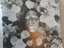 The Legendary Pink Dots Discography book and Vinyl disc RARE