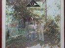US LP - HIDDEN STRENGTH - S/T - UNITED ARTISTS Records 1975