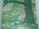 YOKO ONO - PLASTIC ONO BAND ? 1970 APPLE Records SW 3373 US Ausgabe