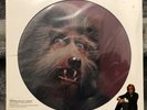 WARREN ZEVON Werewolves of London 1978 Promo Picture Disc Vinyl NEW SEALED