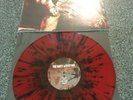 The amity affliction YOUNGBLOODS VINYL