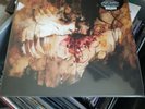 SHINING - IX-EVERYONE, EVERYTHING, NEW VINYL RECORD