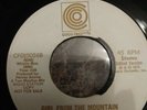 Ralfi Pagan Girl From The Mountain 45 Record rare latin disco soul Coco