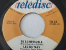 GARAGE PUNK Les Sultans I CAN ONLY GIVE YOU EVERYTHING 45 rare French cover EX