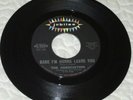 The Association-Babe I'm Gonna Leave You/Call Your Name-Vinyl 45-Stock Copy