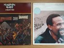 Marvin Gaye - I Want You & Dream of a Lifetime Vinyl Album Bundle MOTOWN LP'S