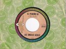 LOS ANGELES AZULES travellin' MEXICO ROCKABILLY 1963 «listen here» JIM FRANCIS