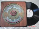 The Grateful Dead ?   